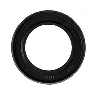 ANEL VEDACAO CHICOTE