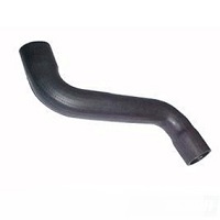 MANGUEIRA RESERVATORIO