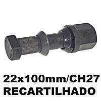 PARAFUSO RODA 22 X 100 3@ EIXO